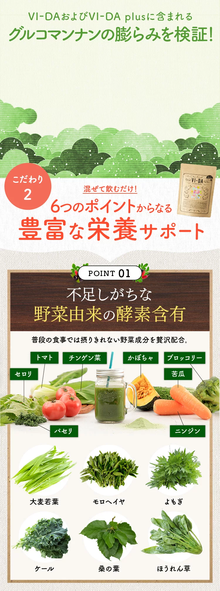 栄養特化型グリーンスムージー VI-DA