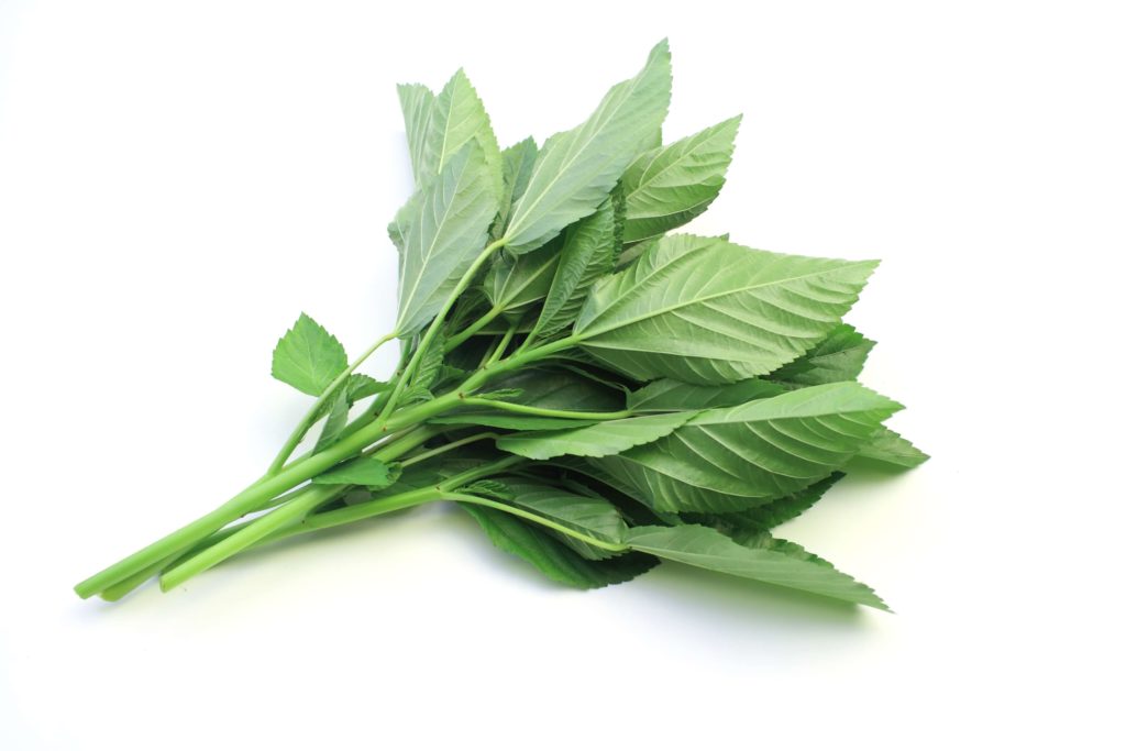 ひじきの栄養と効果効能・調理法・保存法 株式会社なにわサプリ