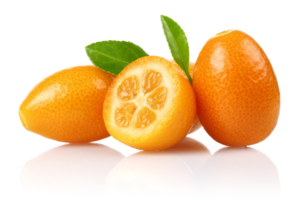 kumquat-top