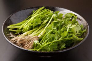 japanese-parsley