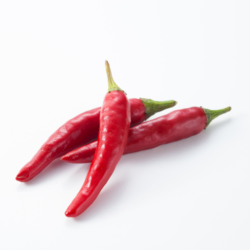 Chili Pepper_top
